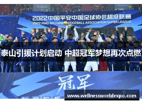 泰山引援计划启动 中超冠军梦想再次点燃